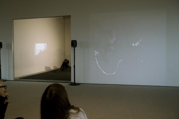 Audience watching the exterior view and video installation of the live performance.